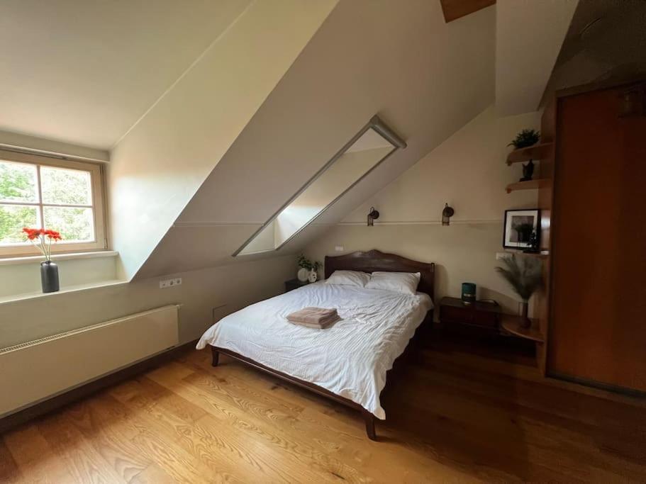 Old Town Apartment With Free Parking ヴィリニュス エクステリア 写真