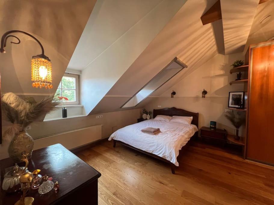 Old Town Apartment With Free Parking ヴィリニュス エクステリア 写真