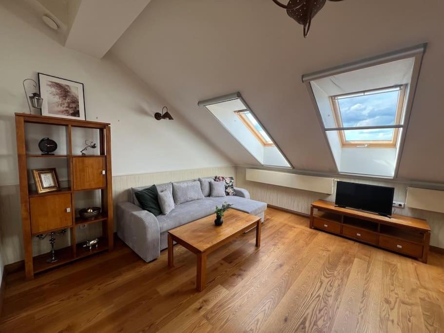 Old Town Apartment With Free Parking ヴィリニュス エクステリア 写真