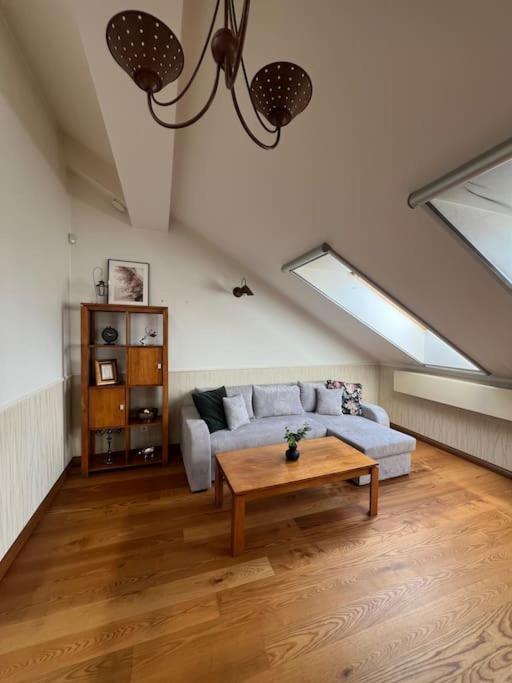 Old Town Apartment With Free Parking ヴィリニュス エクステリア 写真